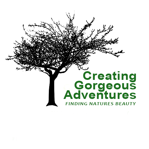 Creating Gorgeous Adventures-logo
